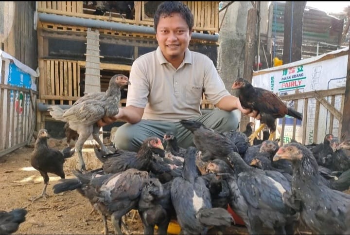 Ubah Paradigma Peternak di Kabupaten Lahat Sumsel Melalui Program 1 Rumah 1 Pasang Ayam