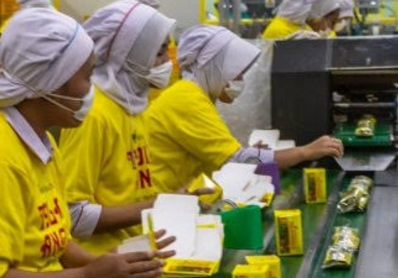 Corporate Highlights Hari Ini, Info Emiten Pagi Ini, Laba Bersih EXCL Turun hingga Rencana SIDO Bagi Dividen 