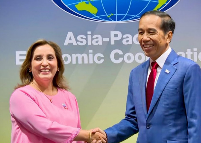Tingkatkan Kerjasama, Presiden Jokowi Adakan Pertemuan Bilateral dengan Presiden Peru di Washington 