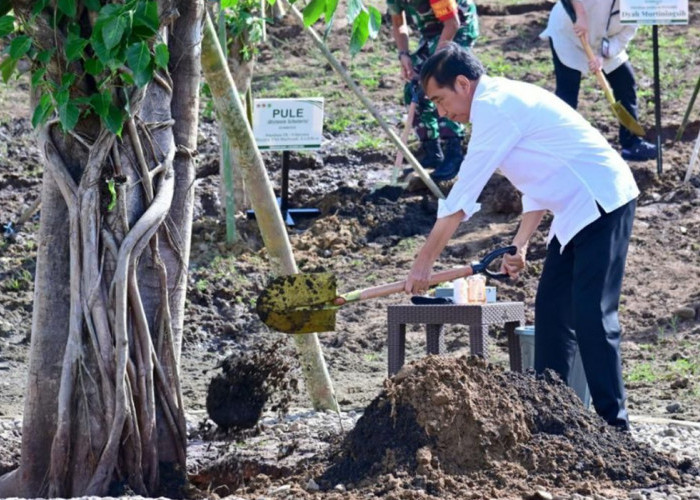 Presiden Jokowi Tanam Pohon di NTT, Bentuk Nyata Indonesia Siap Menghadapi Prubahan Iklim