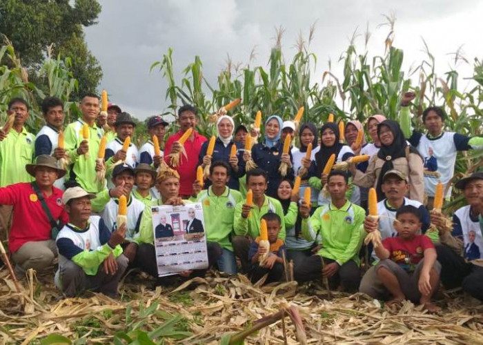 Petani Jagung Banyuasin Dukung Renny Astuti jadi DPR RI, Alasannya Sangat Menyentuh 