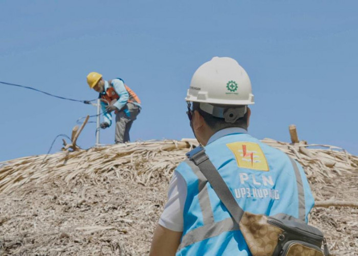 149 Keluarga di Noemuke NTT Nikmati Listrik PLN 24 Jam, Buka Harapan Baru bagi Pendidikan dan Ekonomi Warga