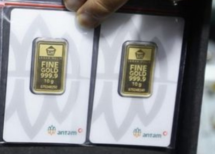 Harga Emas Antam Hari Ini Rabu 14 Mei 2025 Naik Tipis, Ukuran 0,5 Gram Harganya Rp 993 Ribu