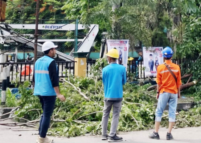 Gerak Cepat PLN Pulihkan Listrik Pasca Angin Puting Beliung di Muara Enim Sumatera Selatan