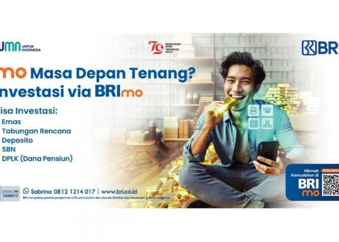 Bingung Mau Mulai Investasi Pertama Kali? Saatnya Coba Buka RDN di BRImo Saja!