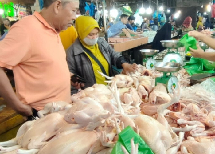 Cuaca Ekstrem Pengaruhi Pasokan Ayam dan Cabai, Inflasi Sumsel Tetap Terjaga di Bawah Nasional