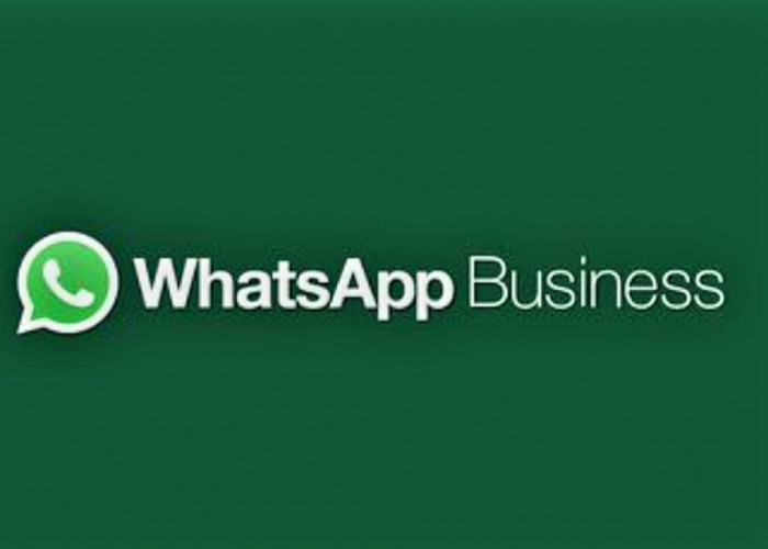 Apa Itu Whatsapp Business? Berikut Cara Bikin Akun, Kelebihan dan Penggunaannya 