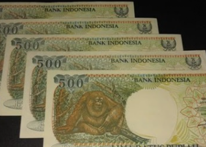 Ada yang Masih Simpan Uang Kertas Rp500 Bergambar Orang Utan? Jadi Buruan Kolektor, Segini Harganya Sekarang