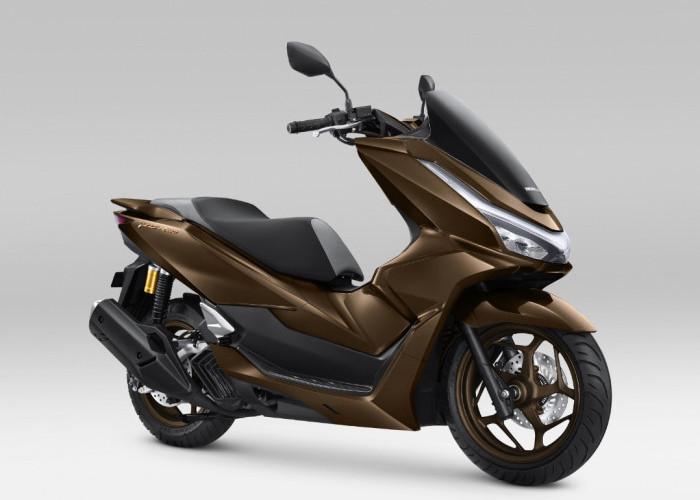 Makin Mewah, AHM Luncurkan Varian Warna Terbaru Honda PCX160, Ini Pilihan Warna Baru dan Fiturnya