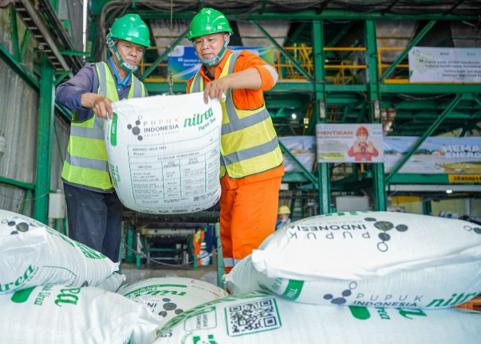 Data 21 Januari 2026, Pusri Palembang Pastikan Stok Pupuk Bersubsidi Awal Tahun Aman Sesuai Ketentuan