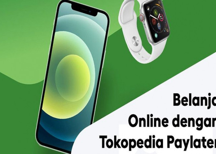 Mau Bayar Pakai Tokopedia Paylater? Wajib Ketahui 5 Hal Ini Dulu