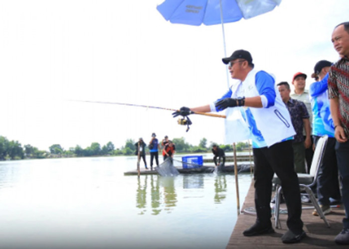Ribuan Angler Ramaikan Lomba Mancing Sumeks 2025 di Danau JSC