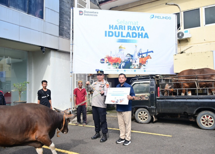 Pelindo Group Regional 2 Palembang Salurkan 20 Hewan Kurban, Perkuat Kebersamaan dengan Masyarakat