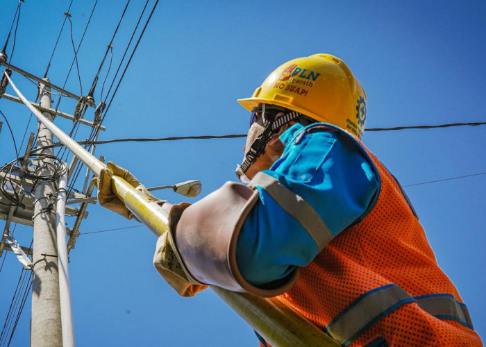 Kapasitas Perseroan Makin Kuat, PLN Jaga DER dan CICR Tetap Positif Sepanjang 2024