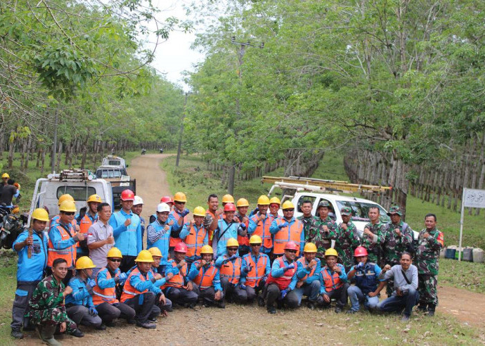 Kolaborasi PLN dan Kodim 0425 Seluma Perkuat Keandalan Listrik Kabupaten Seluma Lewat Gebyar Right of Way