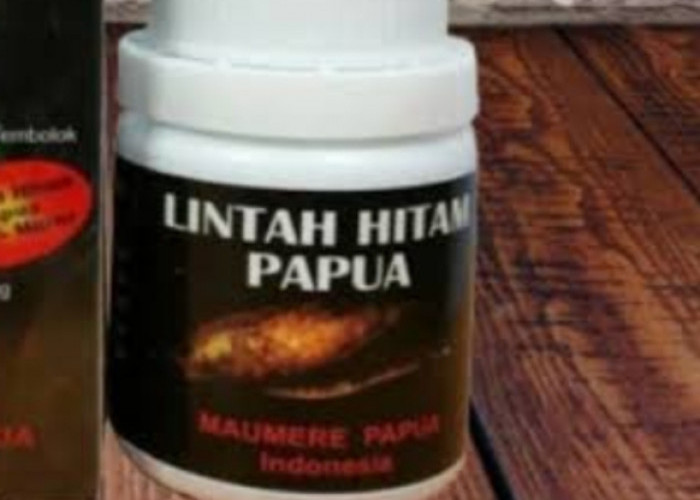 Minyak Lintah Papua Beresiko Sebabkan Gangguan Ginjal dan Hati, Kategori Obat Tradisional Ilegal?