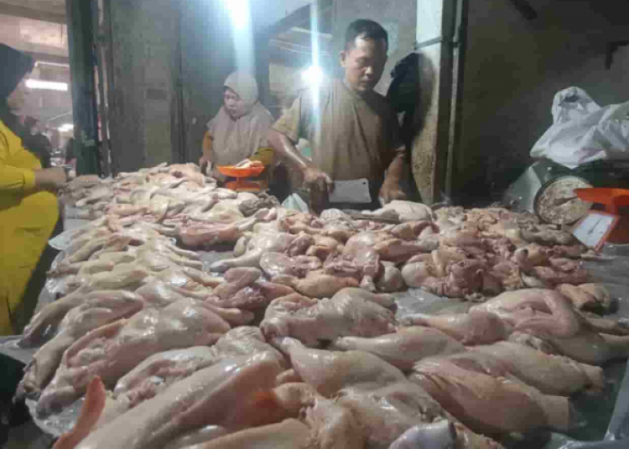 Jelang Idul Fitri Harga Ayam Potong di Palembang Tembus Rp38 Ribu/Kg