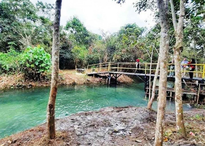 Pesona Alam Sungai Mengkuang, Surganya Pecinta Alam di Desa Jambu, Muara Enim