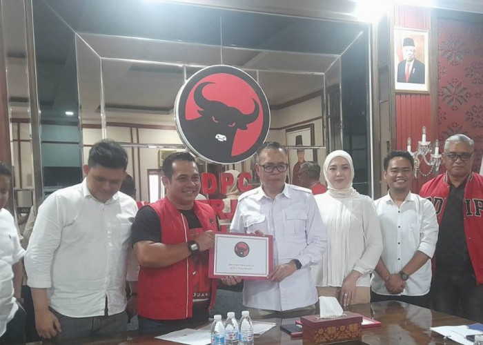 Nandriani Oktarina Nyalon Wawako Palembang, Ambil Formulir di 4 Partai Sekaligus