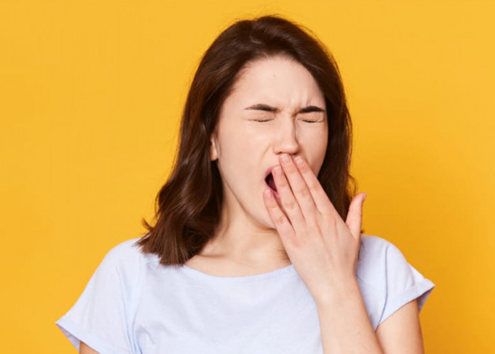 Bukan Cuma Perkara Ngantuk, Ini yang Terjadi Pada Otak saat Menguap