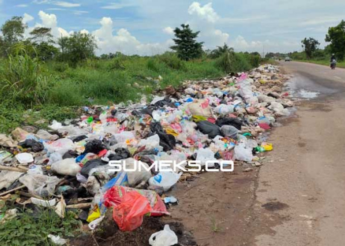 Gunung Sampah Mengancam Palembang, Produksi 1.180 Ton Perhari Terangkut Hanya 800 Ton 