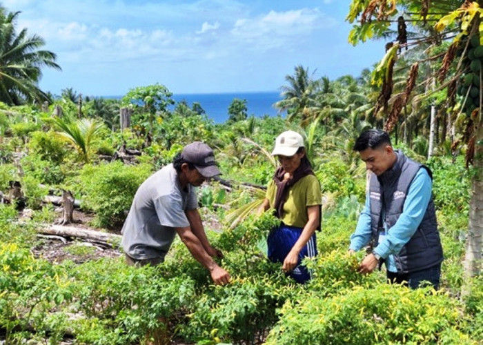 Di Tengah Bentang Kepulauan Talaud, Mantri BRI Hadir Menggerakkan Denyut Nadi Perekonomian 
