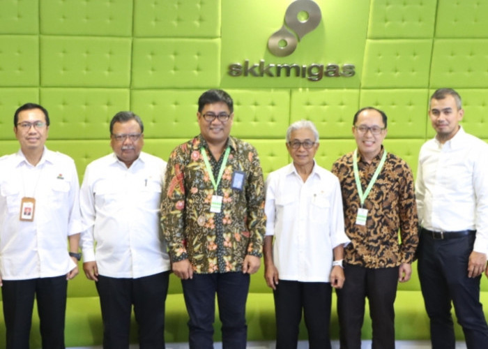 PT Pupuk Sriwidjaja Palembang Audiensi dengan SKK Migas, Dirut Pusri Optimis Pasokan Gas Aman