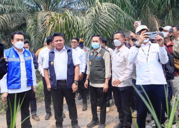 Herman Deru dan Wamen LH Perkuat Kolaborasi Pusat-Daerah Tangani Karhutla di Sumsel