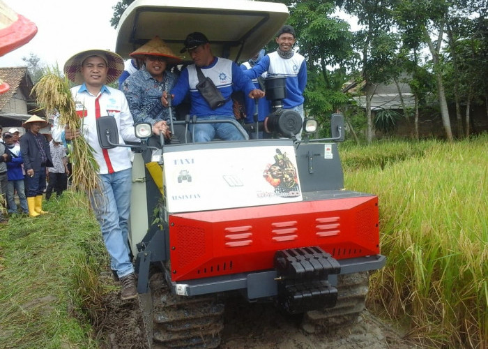 Pertanian Masih Jadi Sektor Primadona Masyarakat OKI  