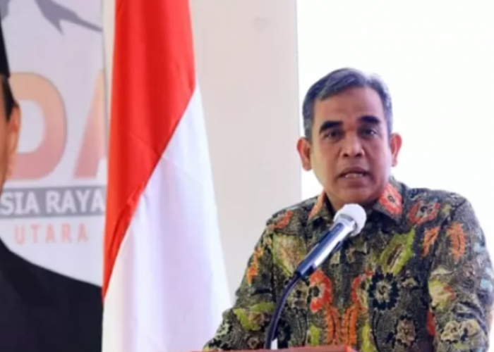 Ahmad Muzani : Food Estate Program Presiden Jokowi