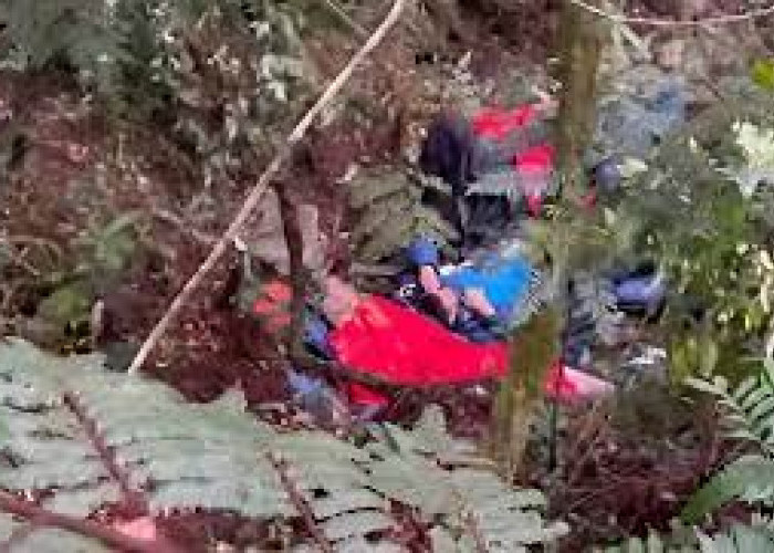 Helikopter Kapolda Jambi Kecelakaan di Bukit Tamiai Kerinci, 8 Penumpang Dalam Keadaan Hidup  