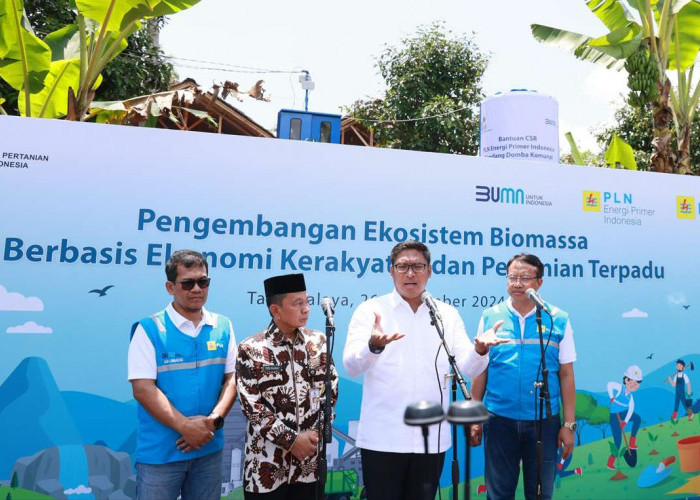 Ubah Lahan Kritis Jadi Hijau dan Produktif, PLN Kembangkan Ekosistem Biomassa Berbasis Pertanian Terpadu