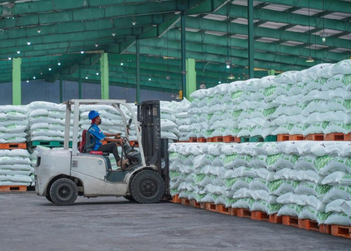 Pusri Dukung Penuh Kebijakan Penurunan Harga Pupuk Bersubsidi, Berikut Daftar Lengkap Harga Terbarunya