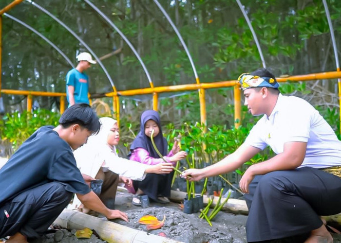 Ekowisata Hutan Mangrove Purba Jerowaru Kerek Ekonomi Masyarakat