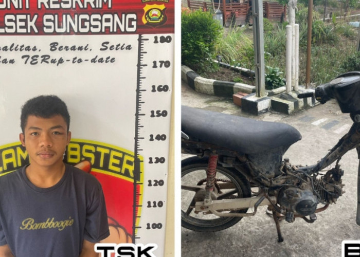 Polsek Sungsang Tangkap Amriansyah, Pelaku Penggelapan Sepeda Motor Milik Nurida