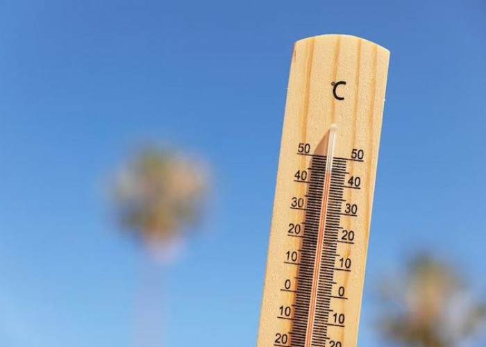 Cuaca Panas, Inilah 5 Cara Membuat Rumah Dingin Tanpa AC, Bye-bye Gerah!