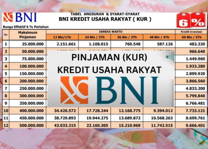 Krisis Modal Usaha? Ajukan Pinjaman KUR BNI 2025 Plafon hingga Rp100 Juta, Ini Tabel Angsuran Cicilan Terendah