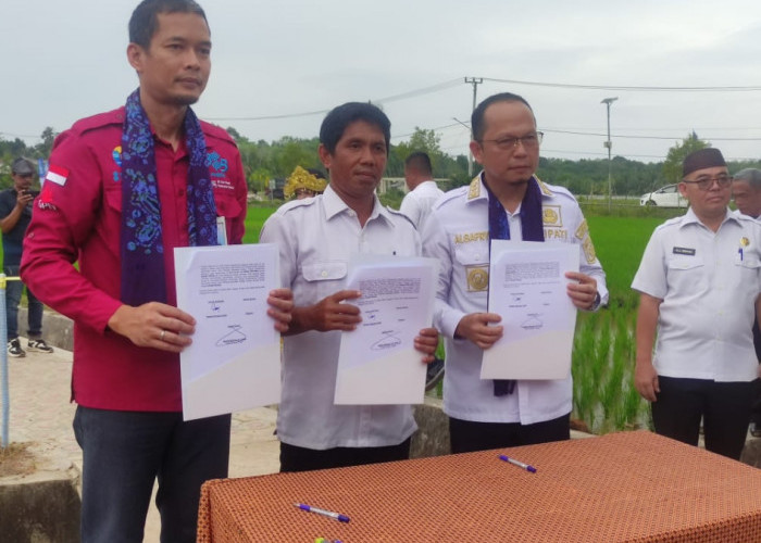 Bank Sumsel Babel Salurkan CSR Rp 365 Juta Kembangkan Agrowisata Desa Namang Bangka Tengah 