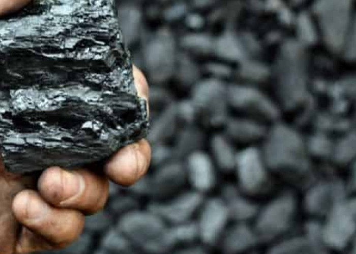 Info Emiten Hari Ini, MEJA Calon Pengendali Tambang di Sumsel, OJK Beri Izin Rights Issue PACK Rp3,25 Triliun