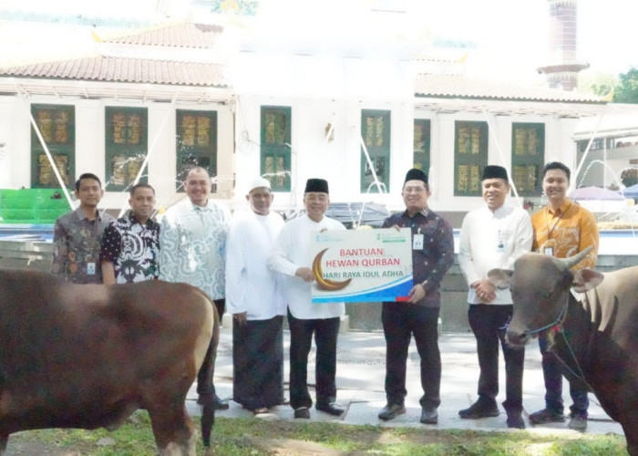Bank Sumsel Babel distribusikan Bantuan Hewan Kurban ke Masyarakat Sumsel dan Babel di Idul Adha 1447 H 