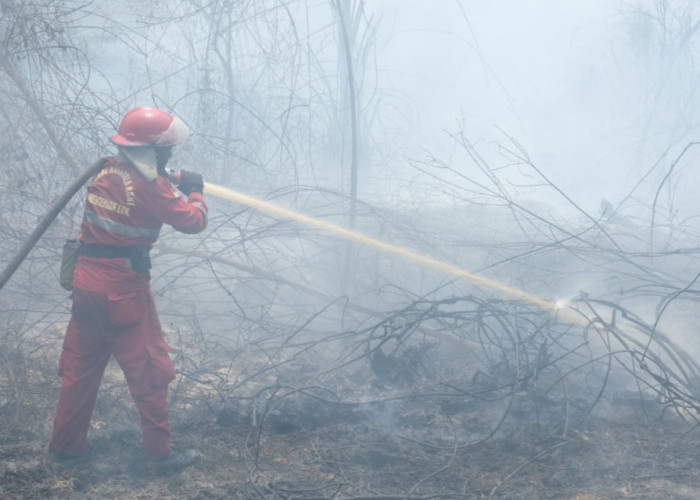 Kilang Pertamina Plaju Selamatkan 17 Titik Lahan Terbakar, Bantu Pemadaman Karhutla di Sumsel