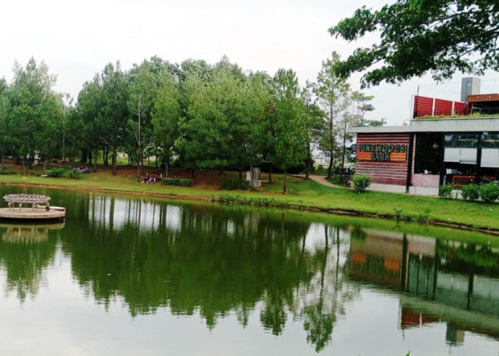 Lokasi Joging Track di Palembang, Coba ke Pinewood Park Country CGC, Pemandangan Pohon Pinus Nan Sejuk 