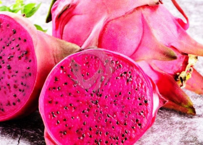 Konsumsi Buah Naga Saat Puasa, Rasakan Manfaat Bagi Kesehatan Tubuh