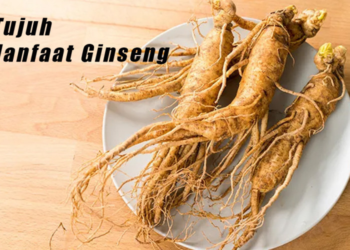 7 Manfaat Ginseng Dalam Pengobatan Tradisional, Tanaman Herbal yang Terkenal di Negara China dan Korea