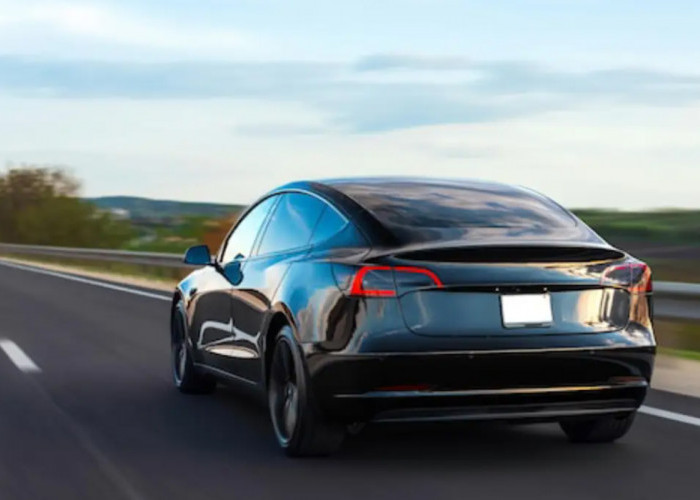 Awal 2024 Tesla Kembali Jadi Raja Mobil Listrik Dunia, Sempat Digeser BYD Pada Akhir 2023