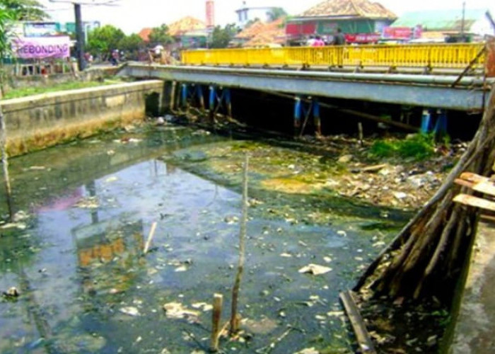 Waspada Bakteri Ini Penyebab  Air Sungai Musi Bakteri E-Coli jadi Polutan Utama Air Sungai Musi Tercemar