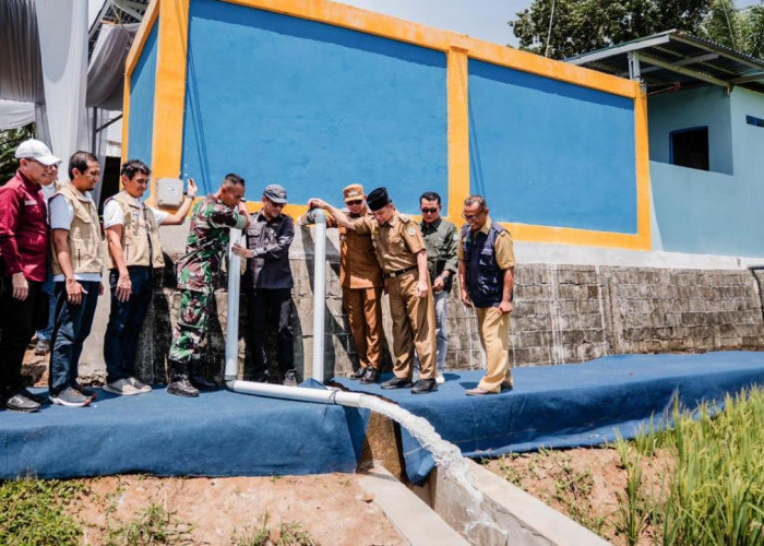 Lebih dari 390 Ribu Pelanggan Manfaatkan Program Electrifying Agriculture dan Marine PLN Hingga 2025