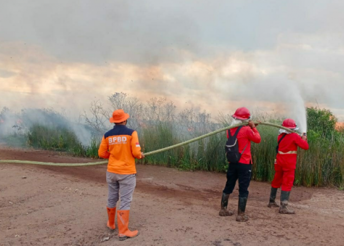 3 Hektar Lahan Gambut di OKI Terbakar, BPPD dan Polisi Bakal Usut Pelakunya  