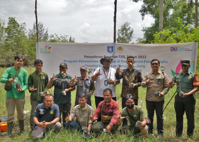 PLN Tanam 22.000 Pohon Mangrove