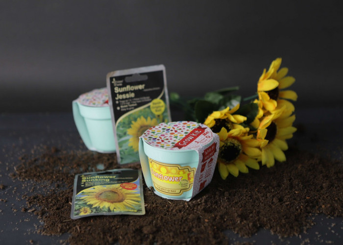 Ini Tips Memilih Tanaman Agar Rumah Lebih Asri ala Tokopedia